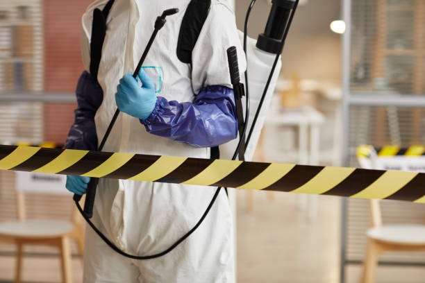 Professional Sewage Cleanup technician working in Novato, CA
